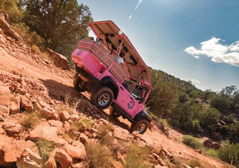 Sedona: Diamondback Gulch Pink Jeep Tour - Key Points