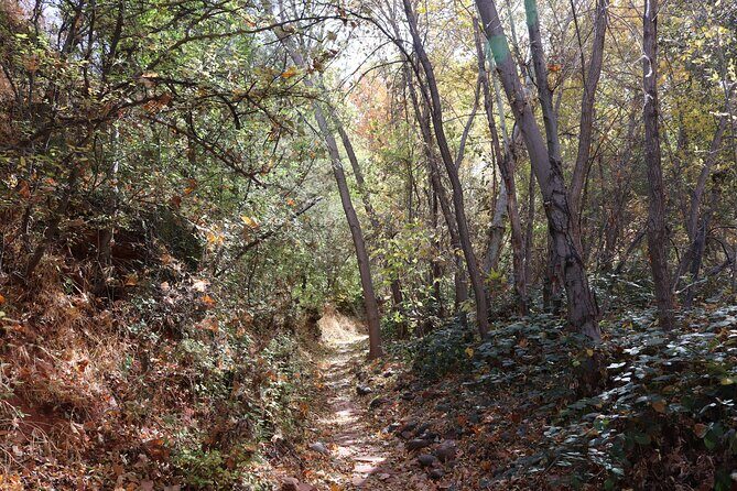 Sedona Easy Hiking Tour with a Private Guide - Pricing and Value