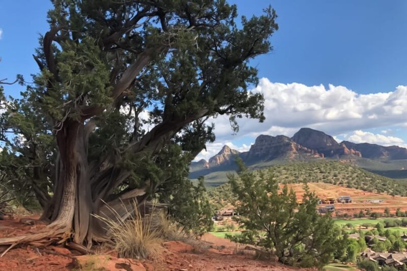 Sedona: Guided Vortex Jeep Tour - Practical Tips for Participants