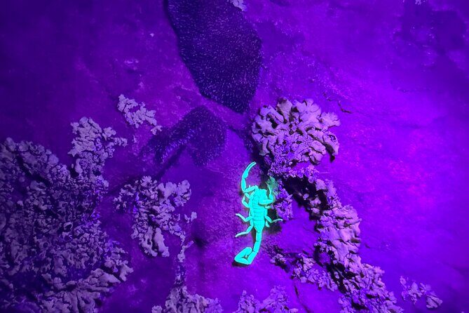 Sedona Night Hike and Stargazing - What You’ll Experience on the Tour