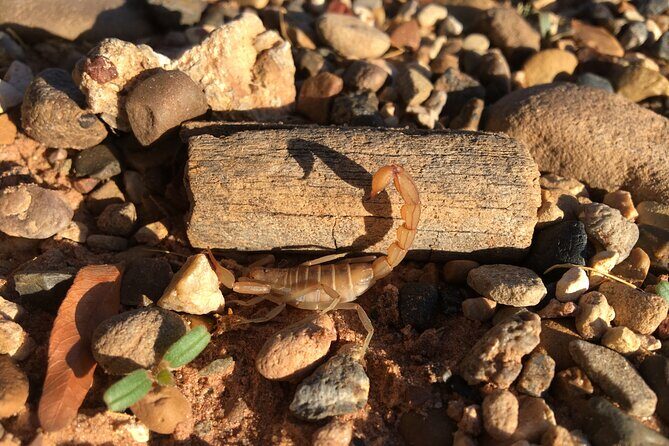 Sedona Night Hike and Stargazing - Is It Worth the Price?