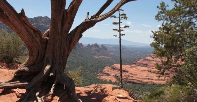 Sedona: PRIVATE 2-Hour Colorado Plateau Scenic Jeep Tour - Key Points