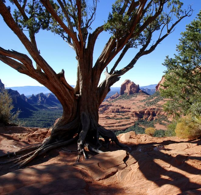 Sedona: PRIVATE 2-Hour Colorado Plateau Scenic Jeep Tour - Practical Considerations