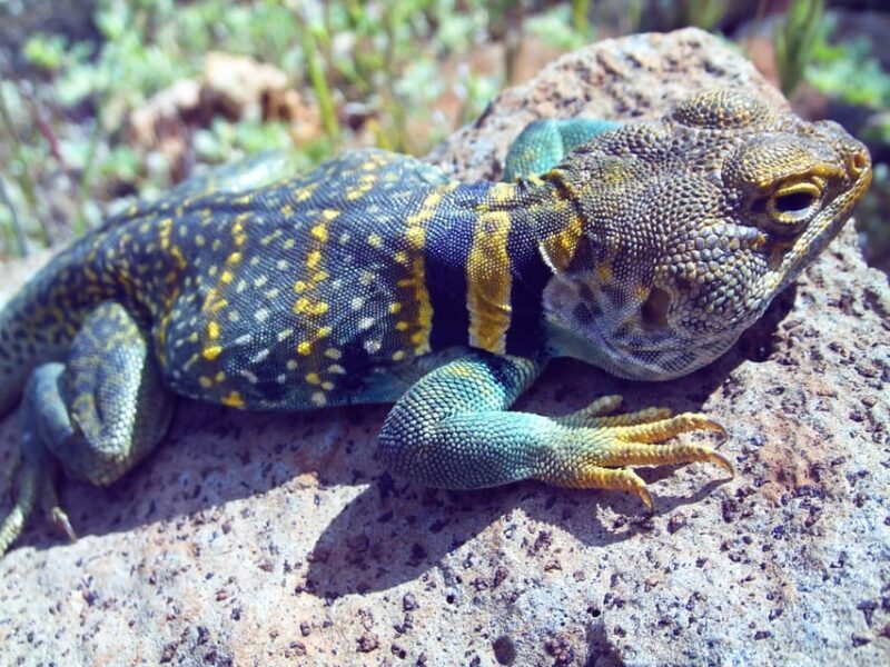 Sedona: PRIVATE Pavement 2-Hour Highlights Jeep Tour - Key Points