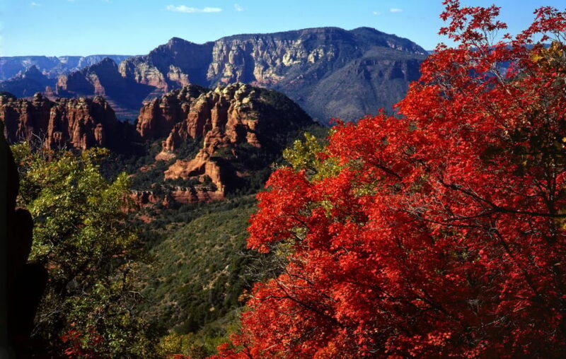 Sedona: PRIVATE Pavement 2-Hour Highlights Jeep Tour - The Sum Up