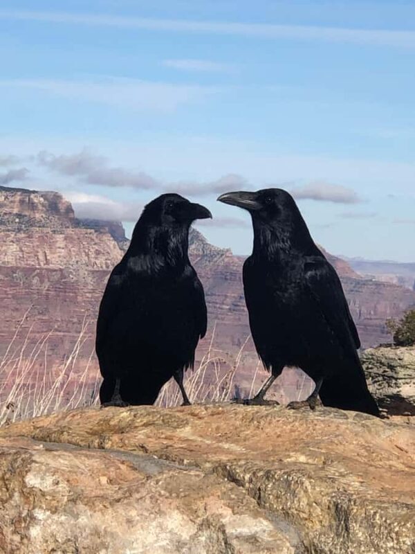 Sedona Sacred Places and Vortex tour - FAQs