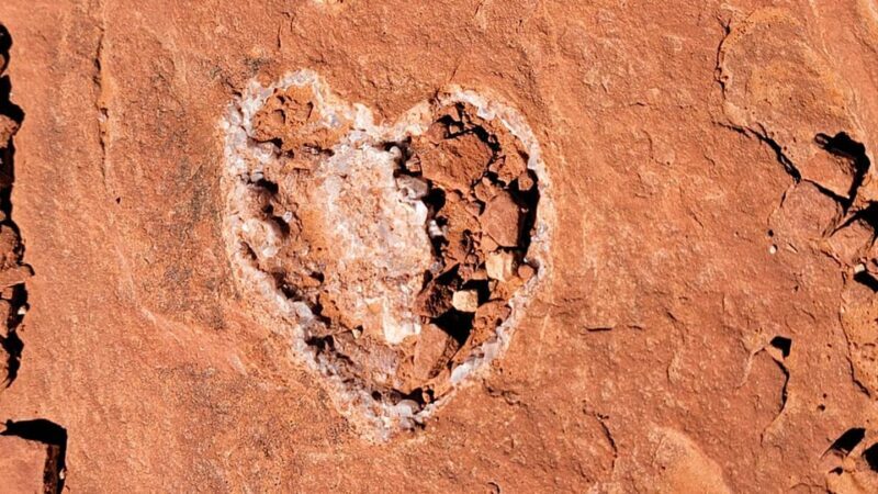 Sedona: The Scientific and Spiritual Vortex Tour - An In-Depth Look at the Experience