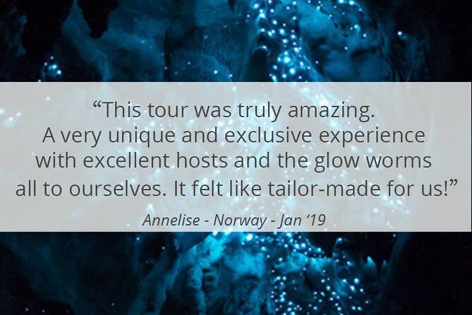 See Auckland's Secret Glow Worms - The Itinerary: From City to Wilderness in Comfort