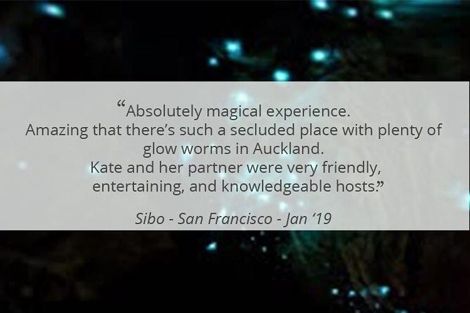 See Auckland's Secret Glow Worms - The Authentic Kiwi Experience