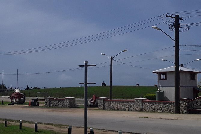 See Hear and Experience Full Island tour - An In-Depth Look at the Full Island Experience