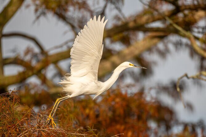 See the real Florida with a Private Nature and Wildlife Boat Tour - Key Points