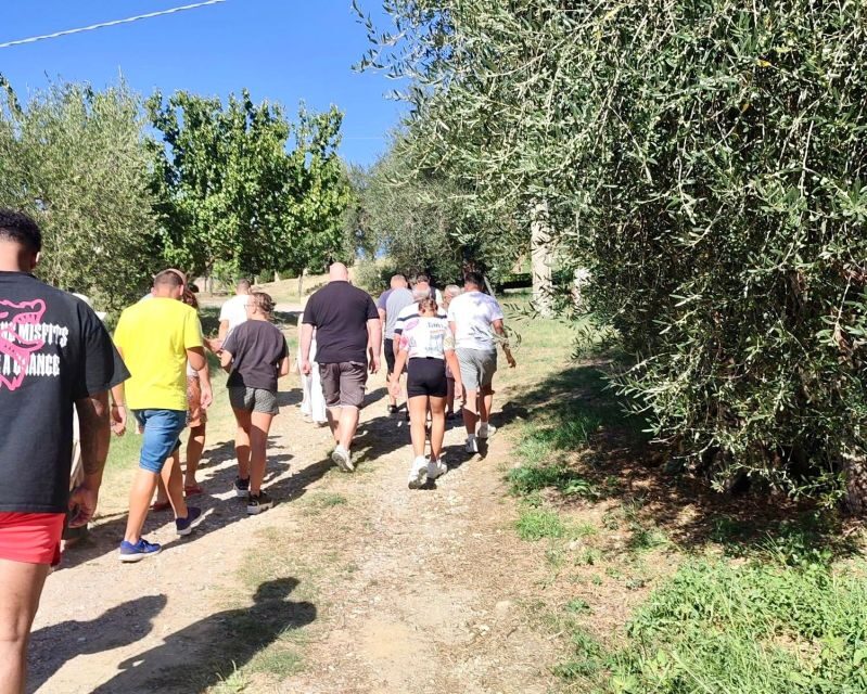 Seggiano: Guided Tour of the Olive Grove and Food Tasting - The Sum Up