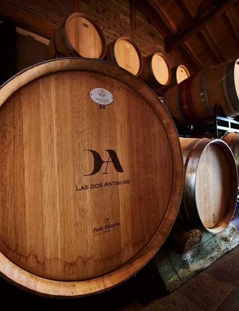 Segovia: Winery Tour with Wine Tasting - A Detailed Look at the Experience