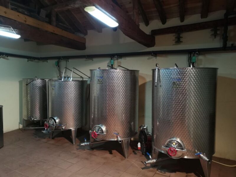 Segovia: Winery Tour with Wine Tasting - Final Thoughts
