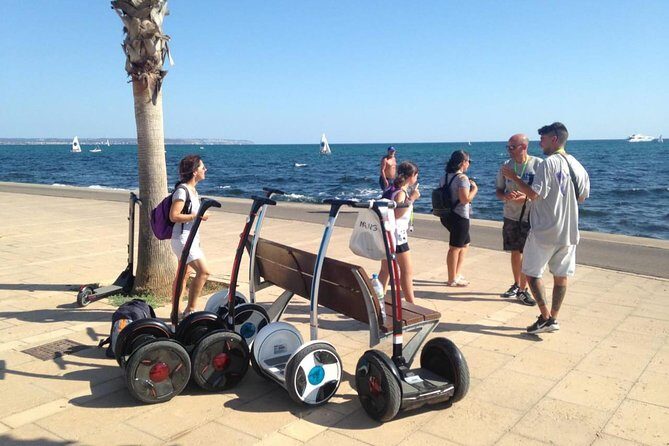 Segway Tour 1 Hour in Palma - The Experience: What to Expect