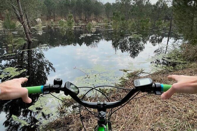 Seignosse electric scooter excursion - An In-Depth Look at the Seignosse Electric Scooter Tour