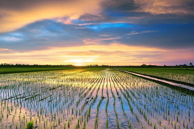 Sekinchan Paddy Field, Fishing Village & Redang Beach Tour from Kuala Lumpur - Starting the Journey: From Kuala Lumpur to Sekinchan