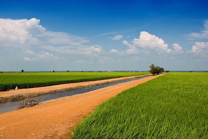 Sekinchan Paddy Field, Fishing Village & Redang Beach Tour from Kuala Lumpur - Stop 3: The Heart of Sekinchan — Paddy Fields & Rice Milling
