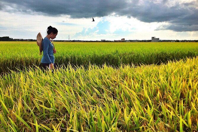 Sekinchan Paddy Field, Fishing Village & Redang Beach Tour from Kuala Lumpur - The Scenic Overlook: Bukit Melawati & Altingsburg Lighthouse