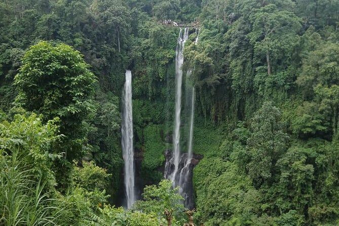 Sekumpul waterfall & aling2 waterfall with private service (including activity) - Evaluating the Value: Is It Worth It?