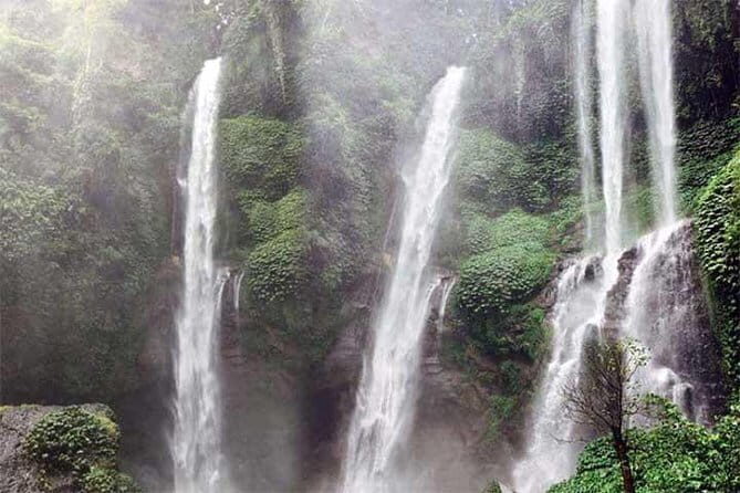 Sekumpul Waterfall Trekking - The Journey: What to Expect from Each Stop