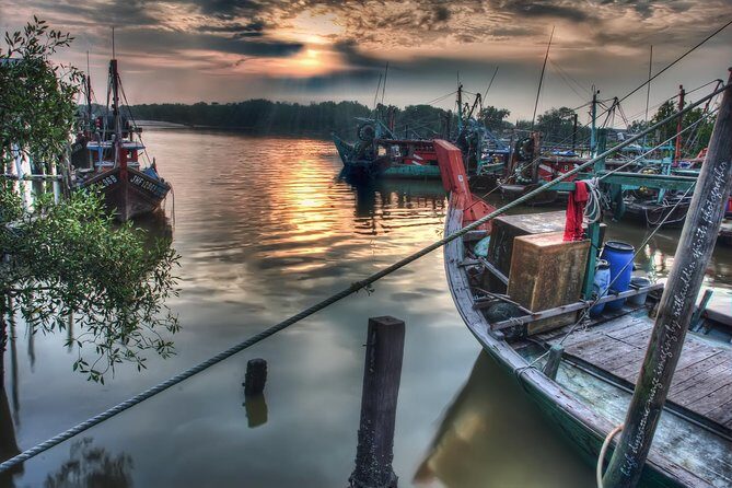 Selangors Fireflies, Kampung and Seafood - In-Depth Review: What to Expect on This Selangor Fireflies Tour