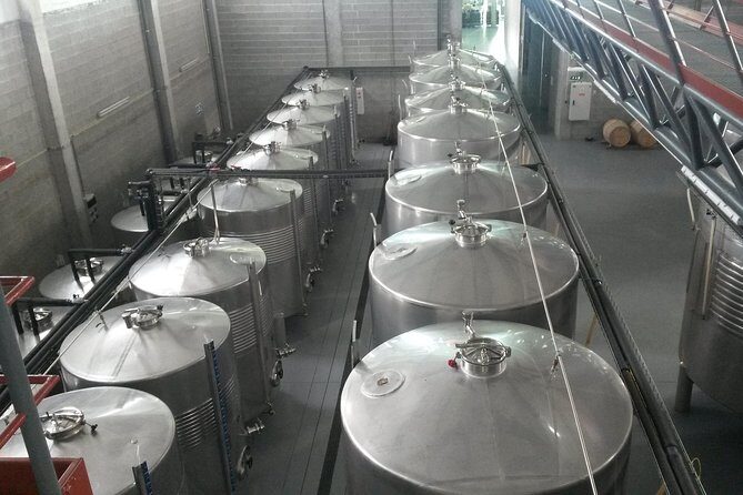 Selection Tasting | Quinta de Santa Cristina Vinho Verde - A Closer Look at the Quinta de Santa Cristina Tour