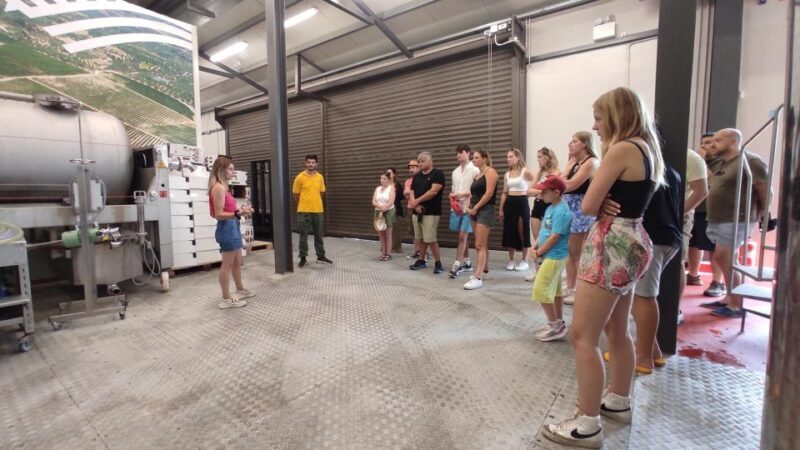 Self-Drive 4X4 Jeep Safari - South Crete Swimming & Canyons - Starting Point and Flexibility