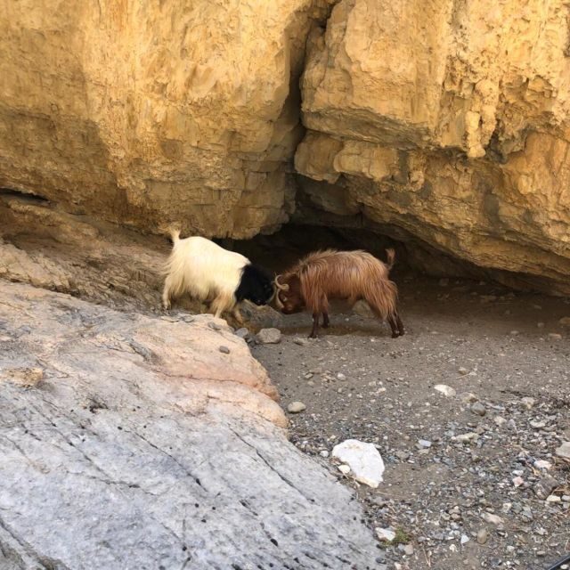 Self-Drive 4X4 Jeep Safari - South Crete Swimming & Canyons - Authenticity and Value