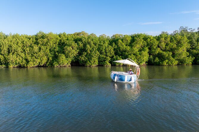 Self Drive BBQ eBoat Cruise with Onboard BBQ Denarau Fiji - Who Would Love This Tour?