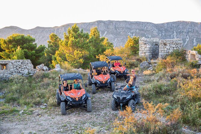 Self-drive Off Road Buggy - Pricing & Value