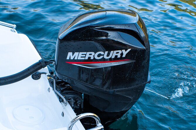 Self driving boats on Lake Como - Value for Money