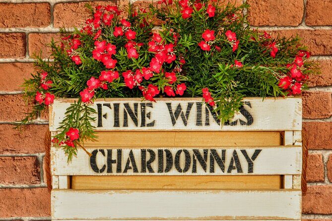 Self Driving Sunset Tour with Dinner and Stargazing in Tenerife - Key Points