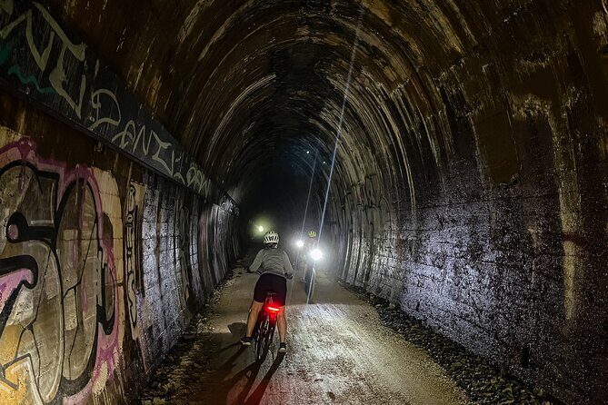 Self Guide E Bike Tour - Husk Distillery, Rainforest & Rail Trail - Why Choose This Experience?