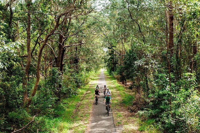 Self Guide E Bike Tour - Husk Distillery, Rainforest & Rail Trail - Who Will Love This Tour?