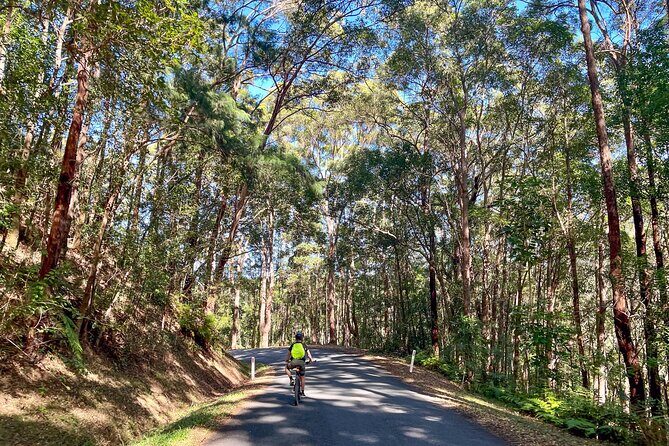 Self Guide E Bike Tour - Husk Distillery, Rainforest & Rail Trail - FAQs