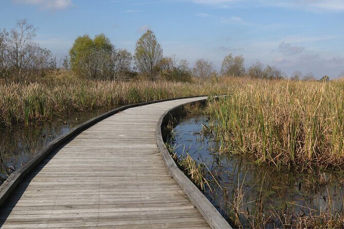 Self-Guided Audio Driving Tour in Creole Nature Trail - Practical Tips for Your Louisiana Wetlands Adventure