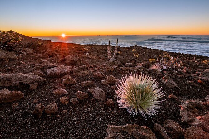 Self-Guided Audio Driving Tour in Haleakala - The Practical Side: What It Means for Travelers