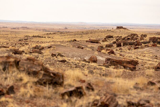 Self-Guided Audio Driving Tour in Petrified Forest National Park - Who Will Love This Tour?