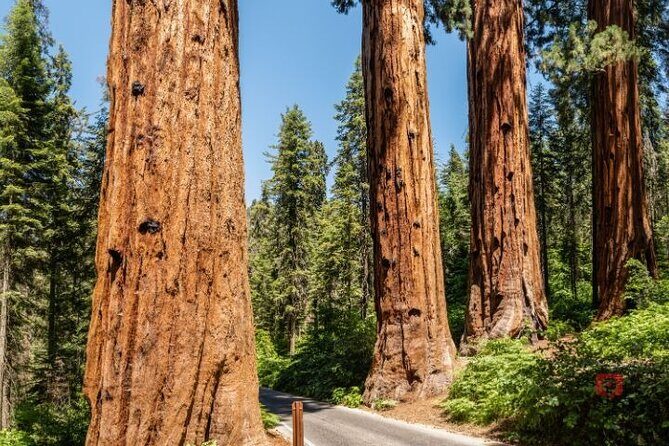 Self-Guided Audio Driving Tour in Sequoia and Kings Canyon - In-Depth Look at the Itinerary