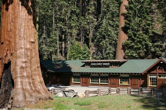 Self-Guided Audio Driving Tour in Sequoia and Kings Canyon - FAQ