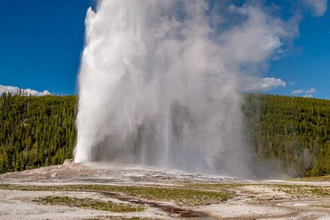 Self-Guided Audio Driving Tour in Yellowstone National Park - The Sum Up
