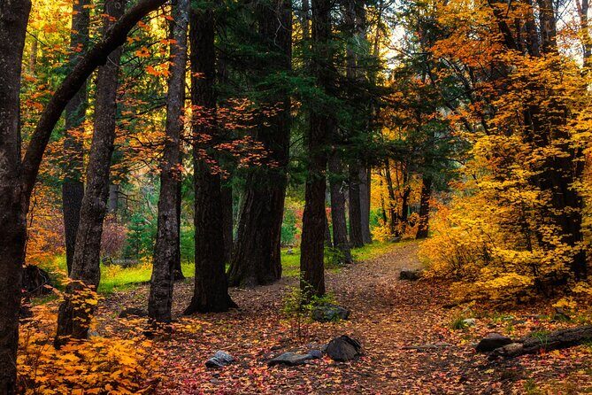 Self-Guided Audio Driving Tour of Mount Lemmon - Stops 6–8: Waterfalls and Rock Formations