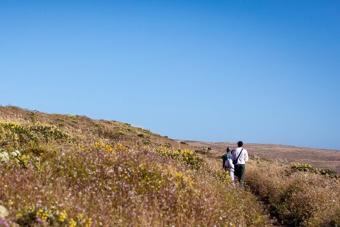 Self-Guided Audio Driving Tour of Point Reyes National Seashore - The Sum Up: Who Will Find This Tour Most Valuable?