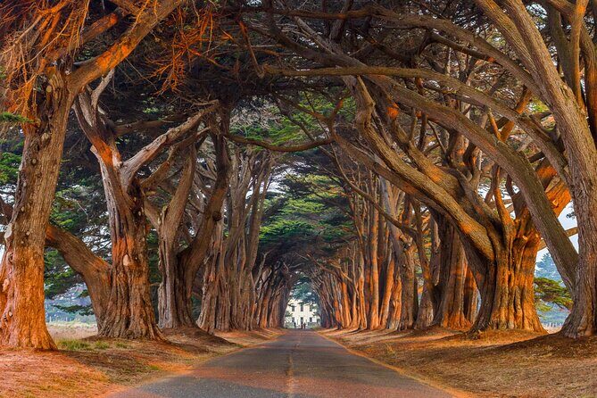 Self-Guided Audio Driving Tour of Point Reyes National Seashore - Frequently Asked Questions