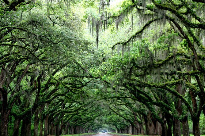 Self-Guided Audio Ghost Tour Through Savannah Shadows - Final Thoughts