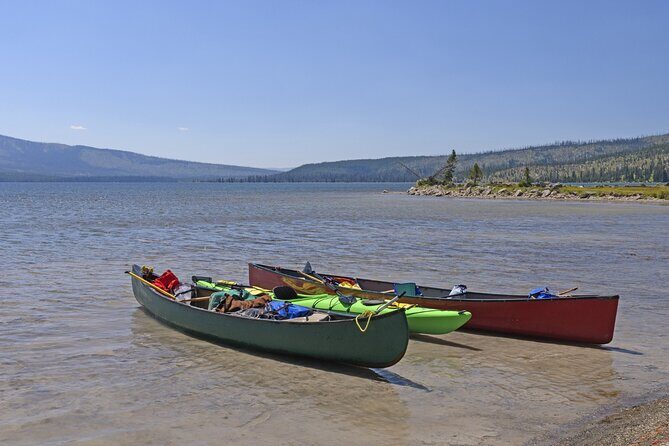 Self-Guided Audio Tour of Yellowstones West Thumb Basin - Who Would This Tour Suit Best?