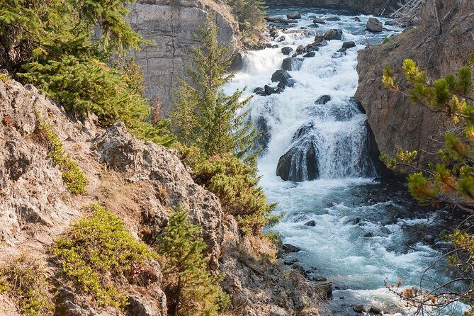 Self-Guided Audio Walking Tour to Grand Prismatic Overlook - FAQ