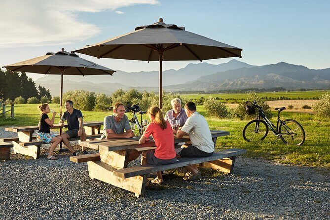 Self-Guided Biking Wine Tour (full day) in the Marlborough Region. - Authentic Experiences & Tips
