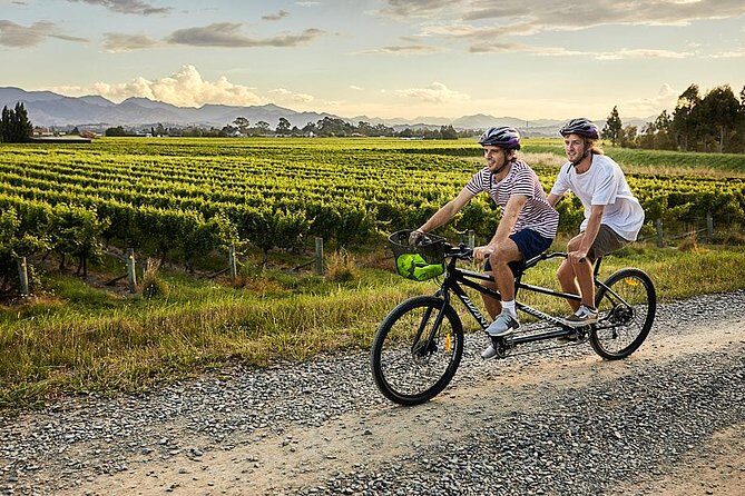 Self-Guided Biking Wine Tour (full day) in the Marlborough Region. - Who Should Consider This Tour?